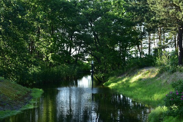 Famille et Grossesse : Stratégies de Soutien pour les Nausées des Futures Mamans
